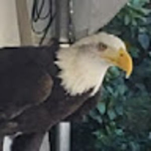 Meet your Posher, Tricia